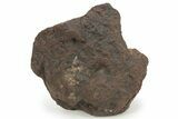 Chondrite Meteorite ( g) - Western Sahara Desert #232924-1